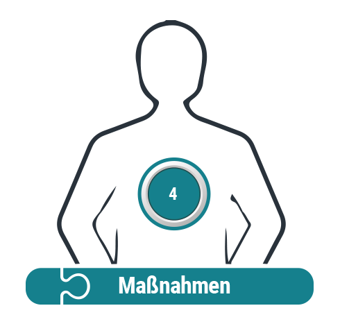 4phasen_grafik_04